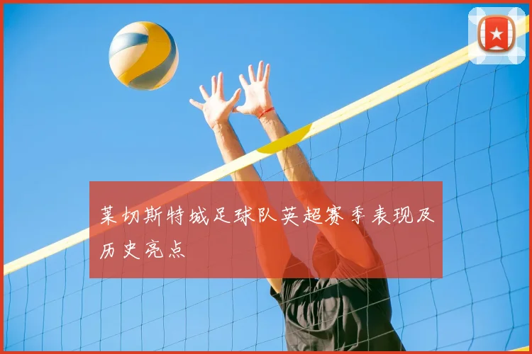 莱切斯特城足球队英超赛季表现及历史亮点